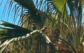 Туры в отель Bed&Breakfast Boutique B&B Barocchetto Romano Ostia Lido