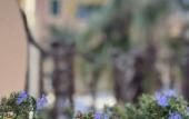 Туры в отель Bed&Breakfast Boutique B&B Barocchetto Romano Ostia Lido