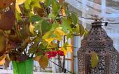 Туры в отель Pod Zvezdami Standart Cottage
