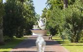 Туры в отель Ali Bey Club Park Manavgat