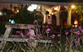 Туры в отель Warung Rekreasi Bedugul Hotel