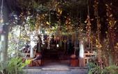 Туры в отель Warung Rekreasi Bedugul Hotel