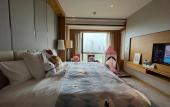 Туры в отель Pullman Haining