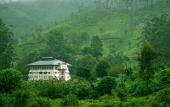 Туры в отель Hillview Munnar