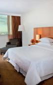 Туры в отель Sheraton Vitoria Hotel
