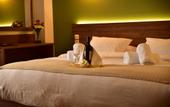 Туры в отель Mont Helmos Hotel