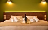 Туры в отель Mont Helmos Hotel
