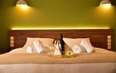 Туры в отель Mont Helmos Hotel