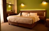 Туры в отель Mont Helmos Hotel