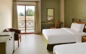 Туры в отель Grand Mercure Petra