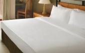 Туры в отель Grand Mercure Petra