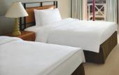 Туры в отель Grand Mercure Petra