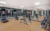 Туры в отель Wyndham Garden San Jose Escazu