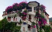 Туры в отель Akdeniz Pansiyon Bed&Breakfast