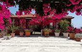 Туры в отель Akdeniz Pansiyon Bed&Breakfast