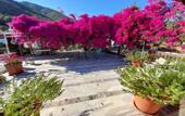 Туры в отель Akdeniz Pansiyon Bed&Breakfast
