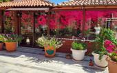 Туры в отель Akdeniz Pansiyon Bed&Breakfast