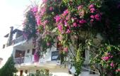 Туры в отель Akdeniz Pansiyon Bed&Breakfast