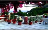 Туры в отель Akdeniz Pansiyon Bed&Breakfast
