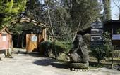 Туры в отель Village Park Resort Spa