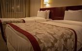Туры в отель Trakya City Hotel