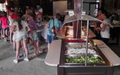 Туры в отель Festa-Kranevo