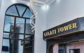Туры в отель Gelati Tower