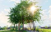 Туры в отель Villa Plyos Resort