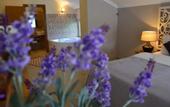 Туры в отель Sweet Home River Hotel
