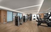 Туры в отель Holiday Inn & Suites Wuhan International Expo