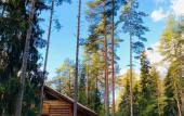 Туры в отель Turisticheskaya Derevnya Kurgala Hotel