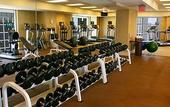 Туры в отель Hilton Americas Houston