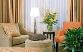 Туры в отель Hilton Americas Houston
