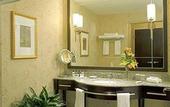 Туры в отель Hilton Americas Houston