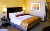 Туры в отель Hilton Americas Houston
