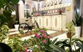 Туры в отель Almaz Plaza Hotel