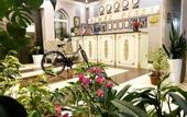 Туры в отель Almaz Plaza Hotel