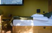 Туры в отель Horizons Bakurtsikhe Mini Hotel