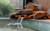 Туры в отель Hyakumangoku Onsen Hotel