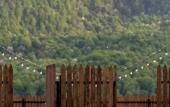 Туры в отель Resort Motives Inn Dilijan