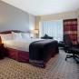 Туры в отель Hilton Boston Logan Airport, оператор Anex Tour