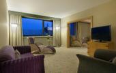 Туры в отель Hilton Budapest City