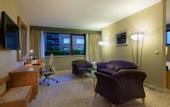 Туры в отель Hilton Budapest City