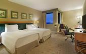 Туры в отель Hilton Budapest City