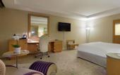 Туры в отель Hilton Budapest City