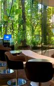 Туры в отель Hilton Cairns