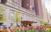 Туры в отель Hilton Chicago