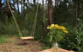 Туры в отель «Глэмпинг Воздух леса» база отдыха