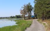 Туры в отель «Паршино» загородный клуб