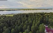 Туры в отель «Сосновый бор» санаторий-профилакторий